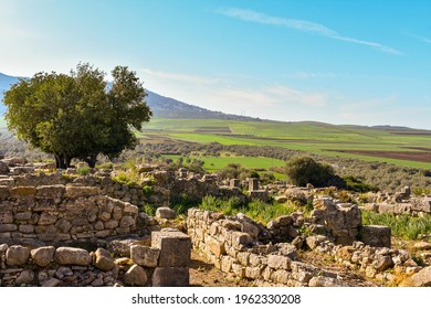 The ruins of stone walls from ancient Roman palaces that were dotted around Volubilis, Morocco 2000 years ago. The view from the abandoned city shows green plains and massive olive groves.