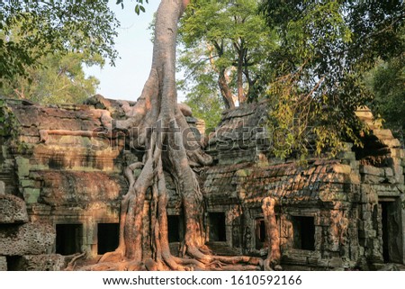 Ruins of Ta Prohm temple, part of the Angkor Wat complex in Cambodia