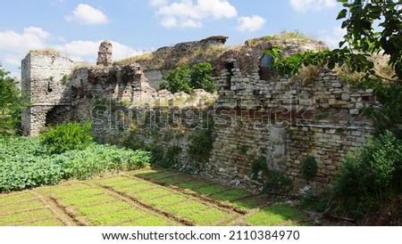 Ruins of Theodosian fortress wall of Constantinople. Constantinople. Istanbul. Turkey.