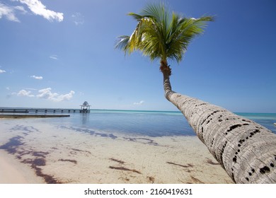 Rum Point On Grand Cayman