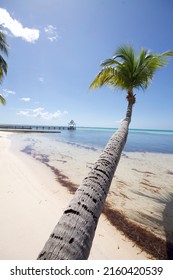 Rum Point On Grand Cayman