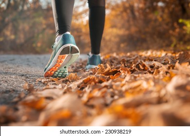 autumn run shoes
