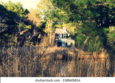 Run down small house surrounded by trees, tall grass, and small body of water.