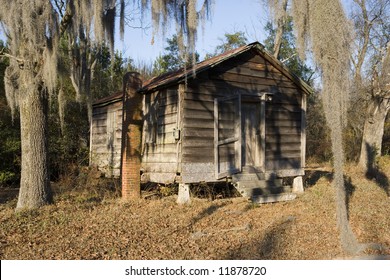 A run down wood shack deep in the back woods of Marion County, South Carolina.