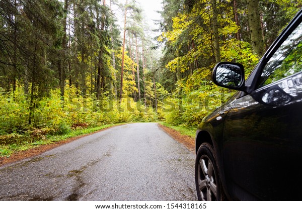 Runaway from civilization to the nature.\
Black Car on way to autumn forest. Exceptional fall colors -\
evergreen pines and firs among golden deciduous.\
\
