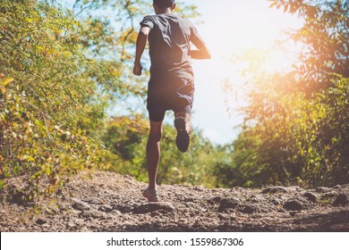 Runners Running Fitness In Woods.athlete Running On Trail Stones In Forest.