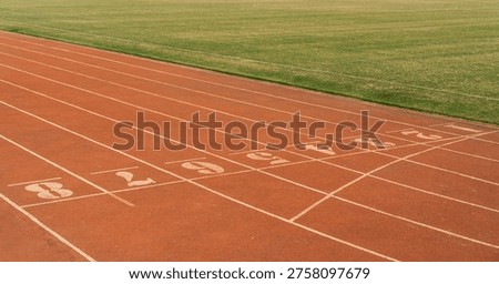 Runners at your marks An empty track with numbered lanes stretches out ready for competition