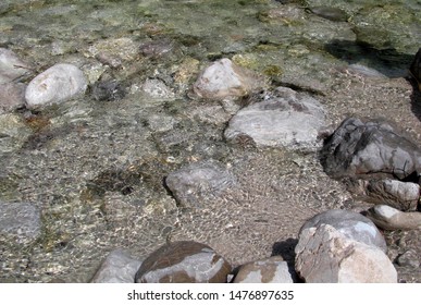 A Running Brook And Stones