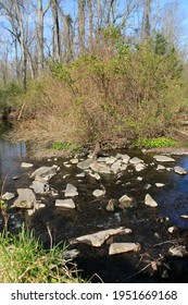 Running Brook With  Stones. Vertical Photograph Of The Waterside. 