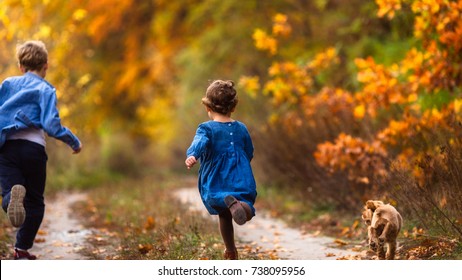 Running Children With Spaniel Dog. Brother And Sister. Autumn Fun. Running Away