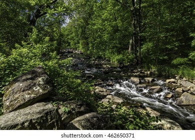 Running Creek Montgomery County PA