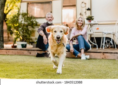 Running dog in the foreground with mature happy couple in the background sitting on the porch with camper van behind - Powered by Shutterstock