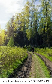 Running in a forest