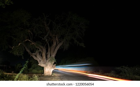 the running lights