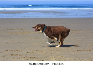 Running On The Beach