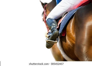 running racing thoroughbred horse coming first isolated on white detail