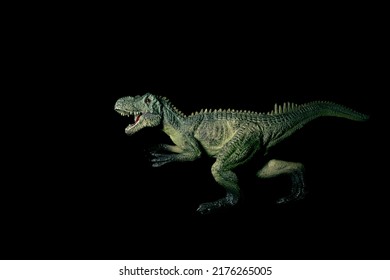 Running Raptor. Prehistoric Predatory Dinosaur. Toy Carnivorous Dinosaur On A Black Background