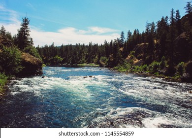 Running River Through Trees