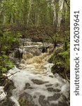 running stream in the forest