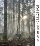 Running through the forest mist