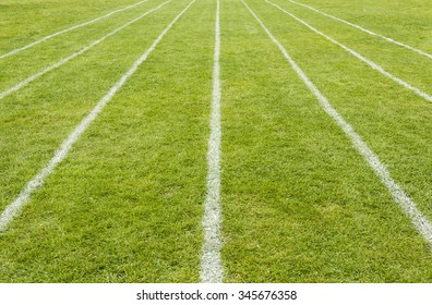 Running track white  lines marked on the grass tending to converge in the distance.