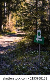 Running Trail In Forest With Signs