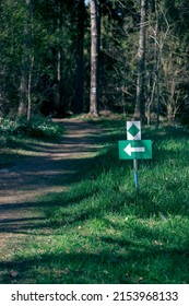 Running Trail In Forest With Signs