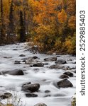 Running water at Little Sustina river  in autumn time.