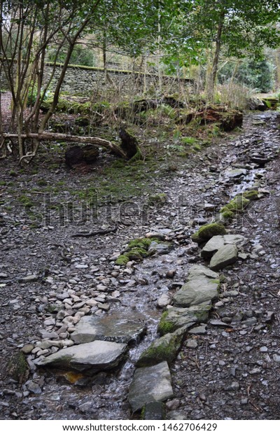 Running Water Small Stream Stock Photo 1462706429 | Shutterstock