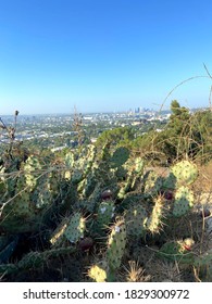 Runyon Canyon Los Angeles, CA 