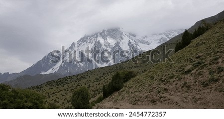 The Rupal and Tarishing are 2 adjacent valleys located in the Astore District of Gilgit-Baltistan region in Pakistan. It lies on the southern side of Nanga Parbat. Nangaparbat offers stunning views. 