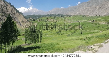 The Rupal and Tarishing are 2 adjacent valleys located in the Astore District of Gilgit-Baltistan region in Pakistan. It lies on the southern side of Nanga Parbat. Nangaparbat offers stunning views. 