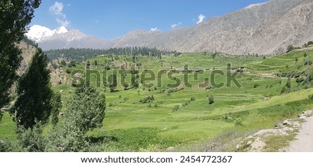 The Rupal and Tarishing are 2 adjacent valleys located in the Astore District of Gilgit-Baltistan region in Pakistan. It lies on the southern side of Nanga Parbat. Nangaparbat offers stunning views. 