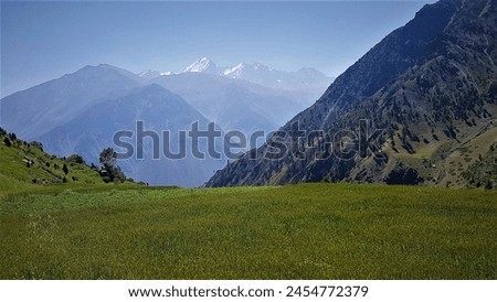The Rupal and Tarishing are 2 adjacent valleys located in the Astore District of Gilgit-Baltistan region in Pakistan. It lies on the southern side of Nanga Parbat. Nangaparbat offers stunning views. 