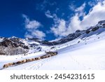 Rupin Pass is a high altitude trek in Himachal Pradesh located at 4650m.Trek is full of diversity from majestic Himalayan ranges to waterfalls, glacial meadows, snow-covered landscapes, lush forests.