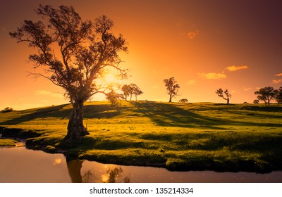 A Rural Adelaide Hills Landscape