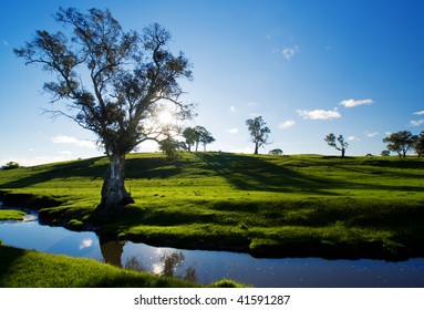 A Rural Adelaide Hills Landscape