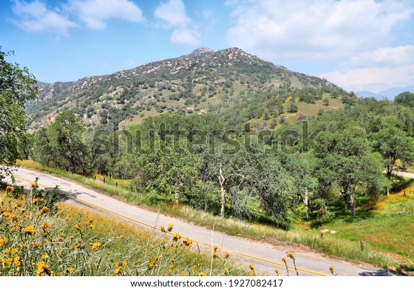Rural American road - California countryside\
spring time landscape. Rural\
California.