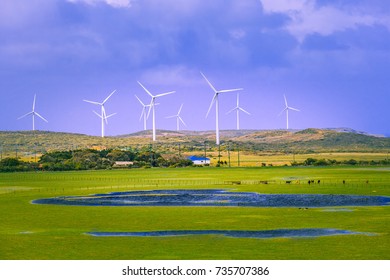 Rural area in australia with pastures and wind turbines. Country life and sustainable energy concept