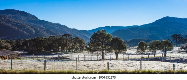 Rural Area At Dawn In Southern Brazil.