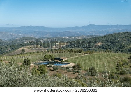 Rural area or farm with a large apple orchard and a small dam as a water reservoir for irrigation in the middle of hills and mountains