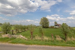 Rural Area With Pollard Willows In Early Spring.