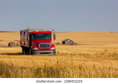 Rural Area, South East Of Regina, Saskatchewan, Canada - September 5, 2020: A Grain Truck Sits In A Farm Field, Ready To Be Used To Collect Grain Seed, As Needed During The Harvest Process.