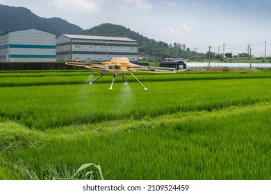 Rural areas where pesticides are sprayed with drones. - Powered by Shutterstock