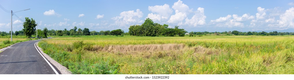 Rural Asphalt Country Road Side Rice Field Wide Angle Panorama Landscape View.