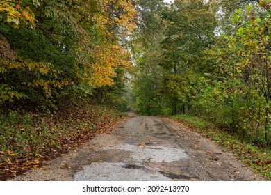 A rural asphalt road in Parke County, Indiana during the Autumn leaf color change.