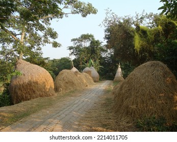 Rural Beauty Of Bangladesh Landscape