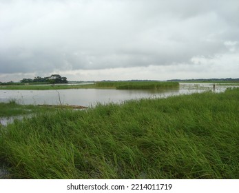 Rural Beauty Of Bangladesh Landscape