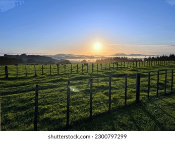 Rural beauty of Bay of Islands, NZ. Lush green landscape with fences and sheep. Golden morning light creates a peaceful atmosphere, showcasing simple life  agriculture in the rustic rural farm land. - Shutterstock ID 2300797299
