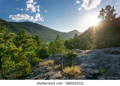 Rural Campsite Near Red Feather Lakes, Colorado